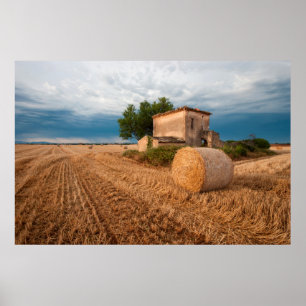 Poster Balle de foin dans un champ de Provence