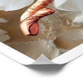 Poster Ballerina (Coin)