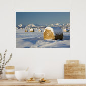 Poster Balles de foin couvertes de neige (Cuisine)