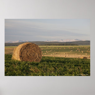 Poster Balles de foin dans un domaine avec des montagnes