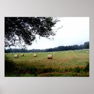 Poster Balles de foin d'art de photographie d'affiche