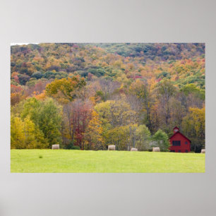 Poster Balles de foin et feuillage d'automne, dans une fe