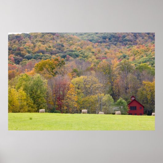 Poster Balles de foin et feuillage d'automne, sur une fer (Devant)