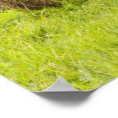 Poster Balles de foin et feuillage de chute à la ferme, (Coin)