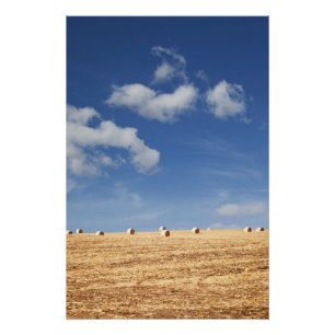 Poster Balles de foin sur le champ