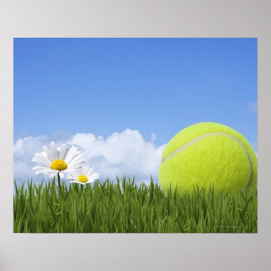 Poster Balles de tennis (Devant)