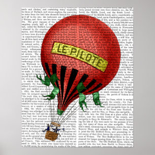 Poster Ballon à air chaud de Jardin De Tuileries