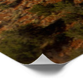 Poster Ballon à air chaud, Red Rock, Coconino National (Coin)