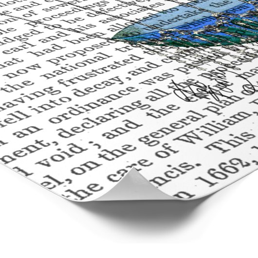 Poster Ballons à air chaud et oiseaux (Coin)