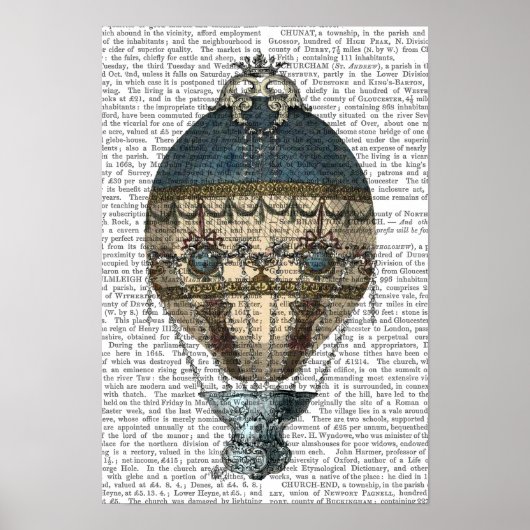 Poster Balloon d'Imaginaire baroque 2 (Devant)