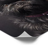 Poster Balloons d'anniversaire pour chien Affenpinscher (Coin)