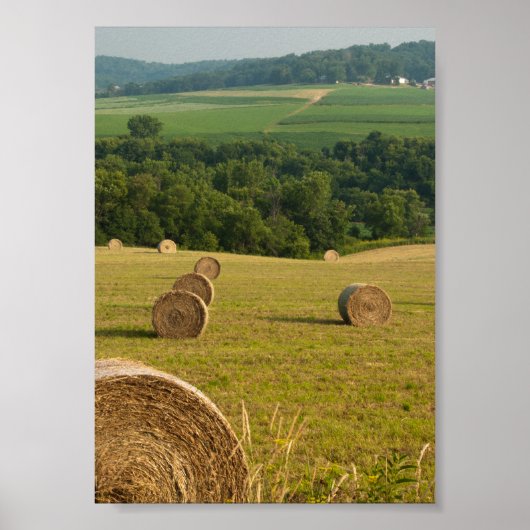 Poster Ballots de foin de la campagne (Devant)