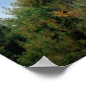 Poster Ballotte à air chaud (Coin)