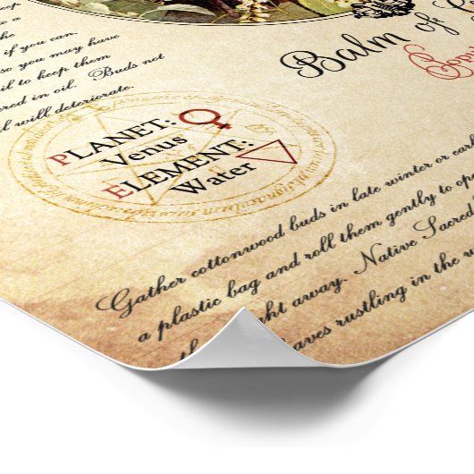 POSTER BALM DE GILEAD (Coin)