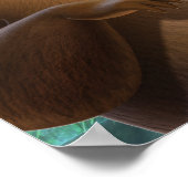 Poster Baloo 4 2 (Coin)