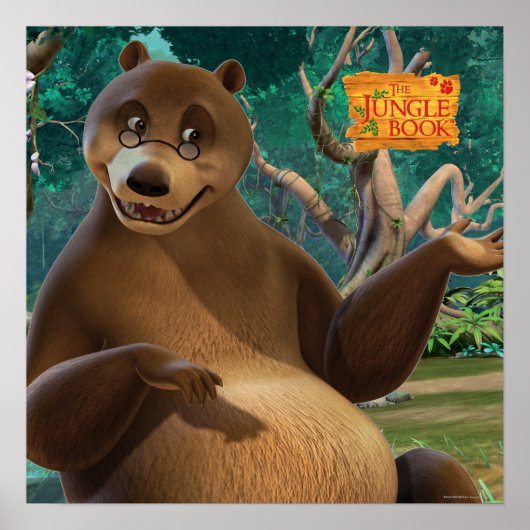 Poster Baloo 4 2 (Devant)