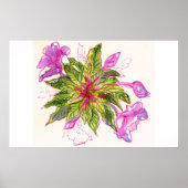 Poster Balsam Bouquet (Devant)