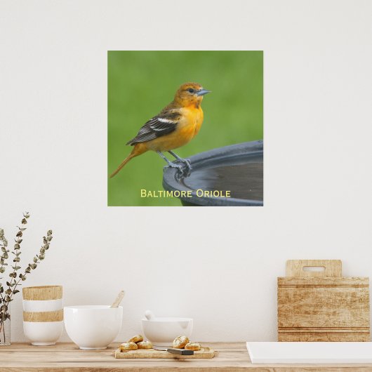 Poster Baltimore Oriole (Cuisine)