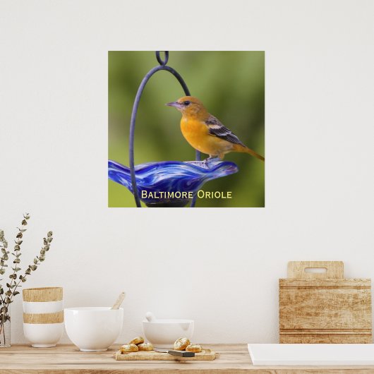 Poster Baltimore Oriole (Cuisine)