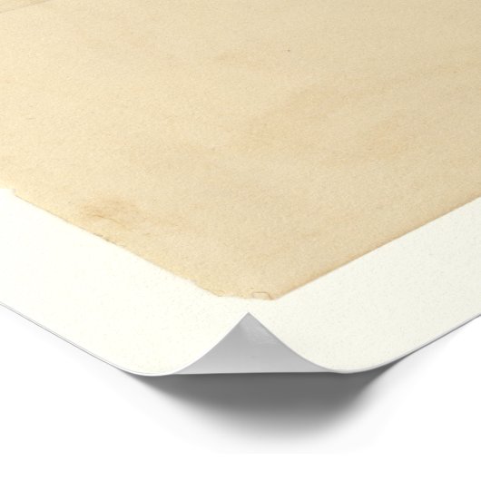 Poster Baltimore Oriole (Coin)