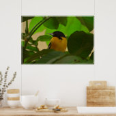 Poster Baltimore Oriole (Cuisine)