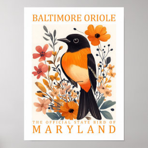 Poster Baltimore Oriole Bird of Maryland USA Travel