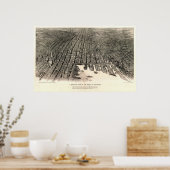 Poster Baltimore (Spofford) - QUALITÉ MOYENNE, voir note (Cuisine)