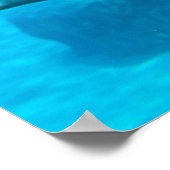 Poster Baluga (Coin)