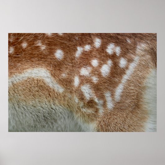 POSTER BAMBI (Devant)