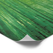Poster Bamboo Forest 2 (Coin)