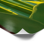 Poster bamboo forest with red callas (Coin)