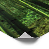 Poster Bamboo Forest Zen Art (Coin)