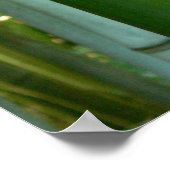 Poster Bamboo Grove (Coin)