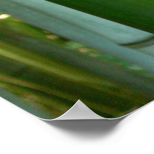 Poster Bamboo Grove (Coin)