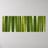 Poster Bamboo Grove (Devant)