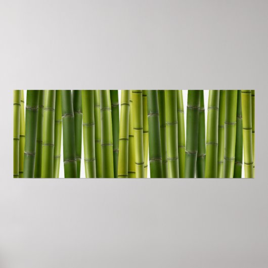 Poster Bamboo Grove (Devant)