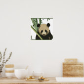 Poster Bamboo Panda (Cuisine)