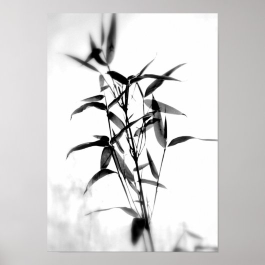 Poster Bamboo Sillouette (Devant)