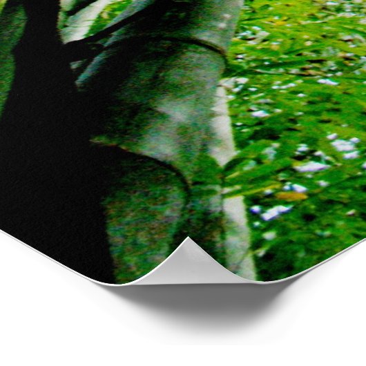 Poster Bambou (Coin)