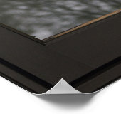 Poster Bambou Feuille Faux Illusion de fenêtre 24x24 Noir (Coin)