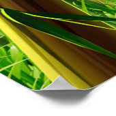 Poster Bambou & Papillon Art 1 (Coin)