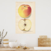 Poster Banana Apple (Keuken)