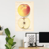 Poster Banana Apple (Thuiskantoor)