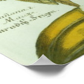 Poster Banana, de Phytanthoza Iconographi de J. Weinmann (Coin)