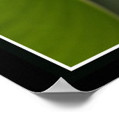 Poster Banana Flower (Coin)