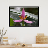 Poster Banana Flower (Cuisine)