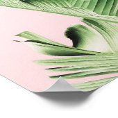 Poster Banana leaf (Coin)