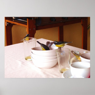 Poster Bananaquis Coreba Falveola