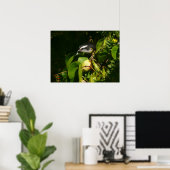 Poster Bananaquit Bird Mange Photographie tropicale (Bureau à domicile)