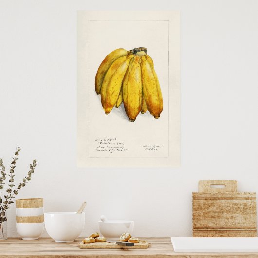 Poster Banane (Cuisine)